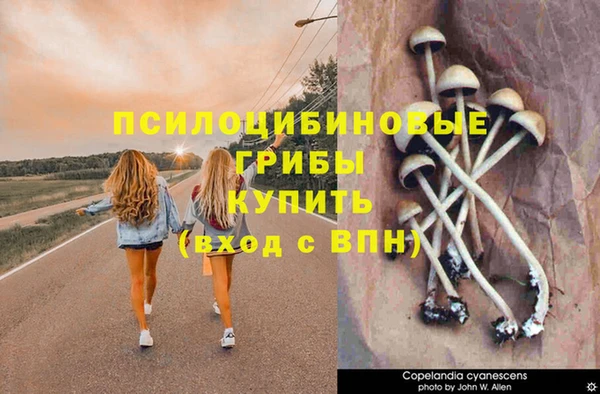 гашиш Заводоуковск