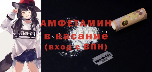 молекула духа Елабуга