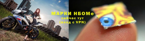стафф Заволжье