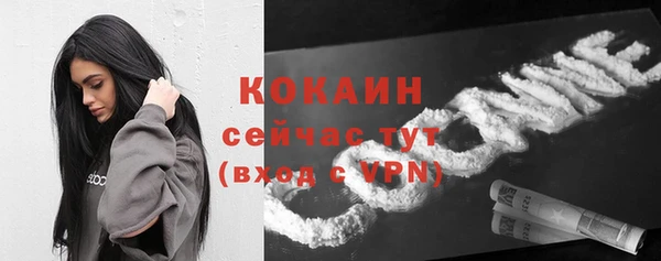 молекула духа Елабуга