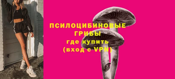 стафф Заволжье
