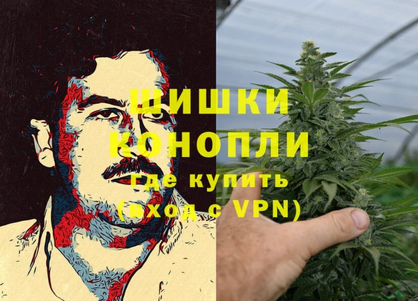 мет Елизово