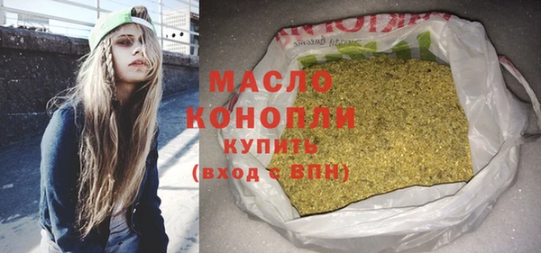 молекула духа Елабуга