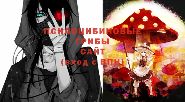 дурь Заволжск