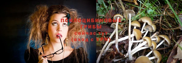 молекула духа Елабуга