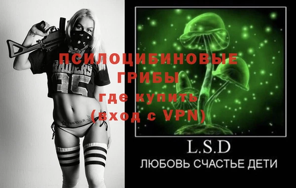 мет Елизово