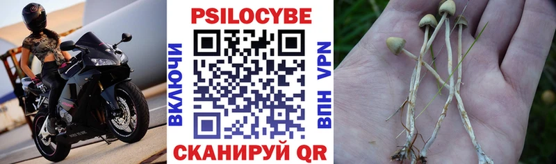 Купить  Электрогорск  Псилоцибиновые грибы мицелий 